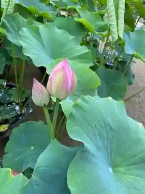當麻寺 西南院(奈良県)