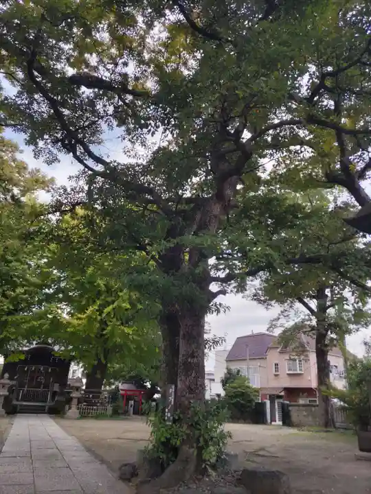 八幡橋八幡神社(神奈川県)
