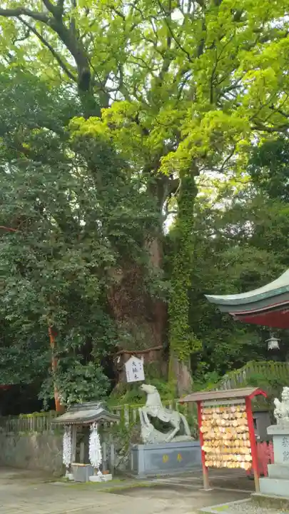 八幡朝見神社(大分県)