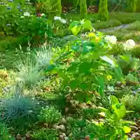 寿量山 速成寺の自然