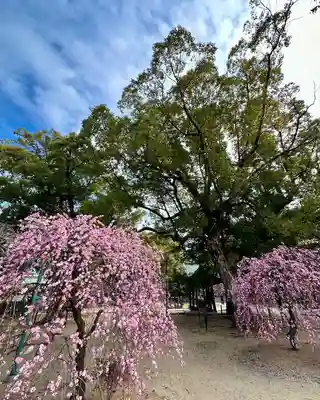 屯倉神社(大阪府)