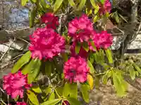 木舟山 順教寺(広島県)