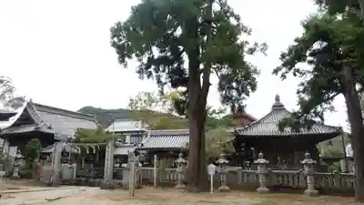 一宮神社(徳島県)