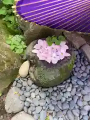 帯廣神社の庭園