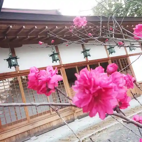 尾張大國霊神社（国府宮）の自然