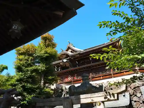 石清尾八幡宮の本殿・本堂