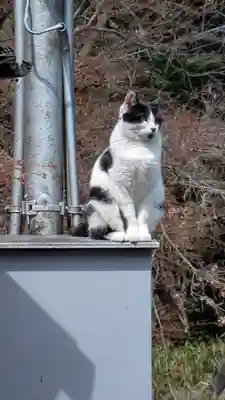 荒木神社(京都府)