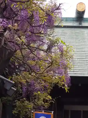 國領神社(東京都)