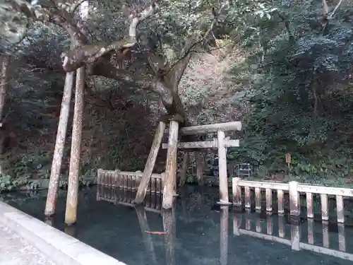 鹿島神宮(茨城県)