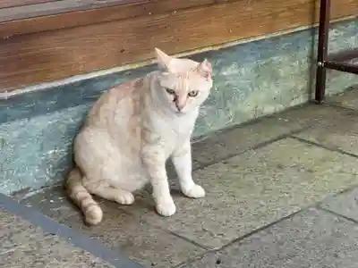 王子神社(徳島県)