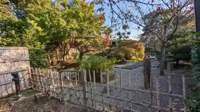 大覚寺(京都府)