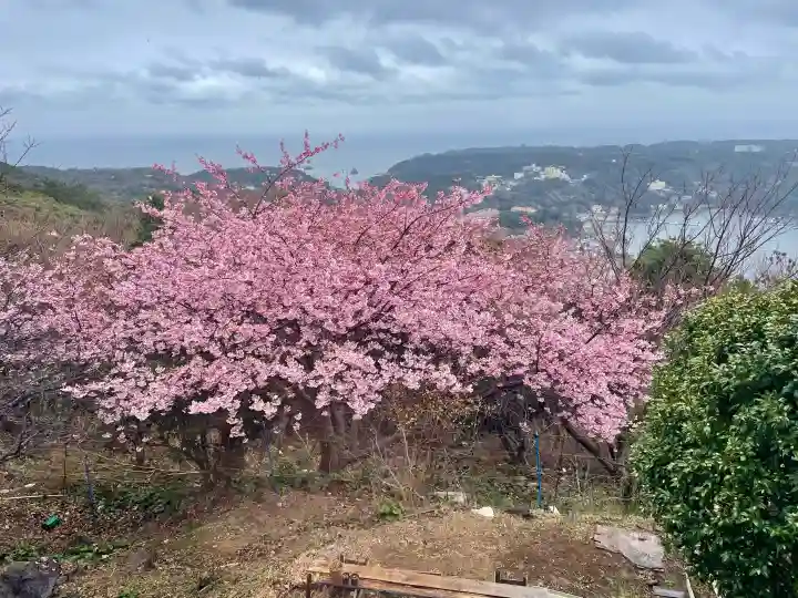 愛染明王堂の{uncategorized: "未分類", other: "その他", undefined: "問題あり", building: "その他建物", grave: "お墓", sacred_gate: "鳥居", guardian: "狛犬", statue: "像", buddha: "仏像", history: "歴史", nature: "自然", garden: "庭園", animal: "動物", pagoda: "塔", temizu: "手水舎", mountain_gate: "山門・神門", sanctuary: "本殿・本堂", subordinate: "末社・摂社", art: "芸術", scenery: "景色", jizo: "地蔵", ema: "絵馬", goshuin: "御朱印", omikuji: "おみくじ", items: "授与品その他", amulet: "お守り", goshuincho: "御朱印帳", eats: "食事", festival: "お祭り", votive_dance: "神楽", shichigosan: "七五三参", wedding: "結婚式", experience: "体験その他", initially: "初詣", around: "周辺", anti_infection: "感染症対策"}