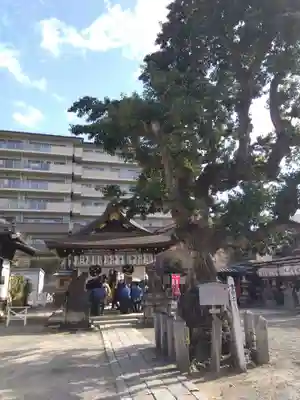 金札宮(京都府)