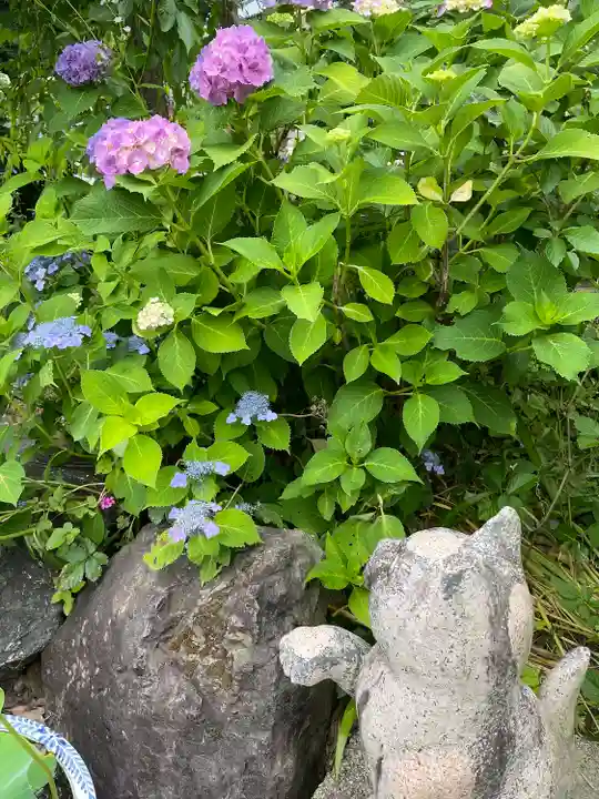 御誕生寺(猫寺)(福井県)