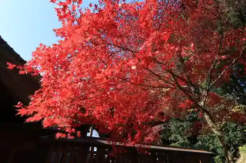 日枝神社の庭園