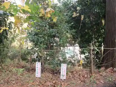 星川杉山神社のその他建物