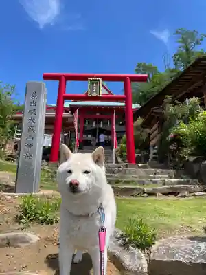 差出磯大嶽山神社 仕事と健康と厄よけの神さま(山梨県)