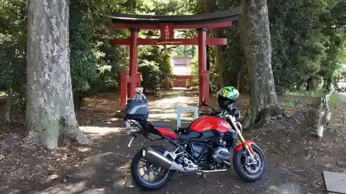 日枝神社の鳥居