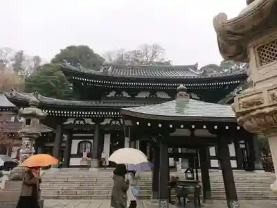 長谷寺の本殿・本堂