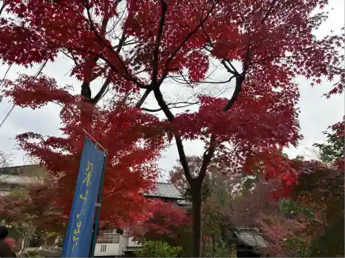 深大寺(東京都)
