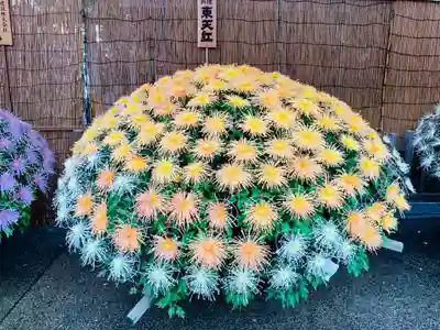 湯島天満宮の芸術