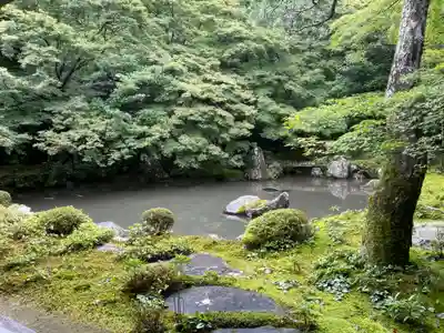 蓮華寺（洛北蓮華寺）(京都府)