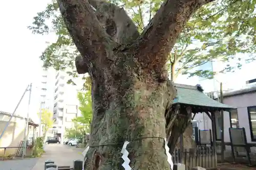 阿邪訶根神社の自然