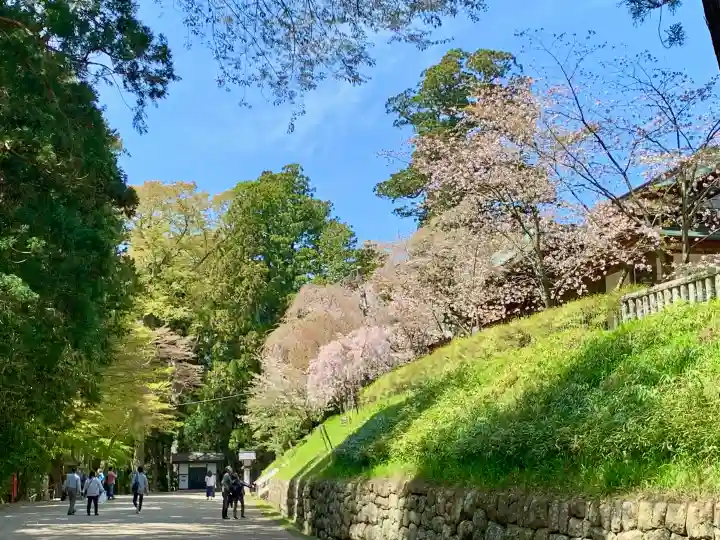 志波彦神社・鹽竈神社の{uncategorized: "未分類", other: "その他", undefined: "問題あり", building: "その他建物", grave: "お墓", sacred_gate: "鳥居", guardian: "狛犬", statue: "像", buddha: "仏像", history: "歴史", nature: "自然", garden: "庭園", animal: "動物", pagoda: "塔", temizu: "手水舎", mountain_gate: "山門・神門", sanctuary: "本殿・本堂", subordinate: "末社・摂社", art: "芸術", scenery: "景色", jizo: "地蔵", ema: "絵馬", goshuin: "御朱印", omikuji: "おみくじ", items: "授与品その他", amulet: "お守り", goshuincho: "御朱印帳", eats: "食事", festival: "お祭り", votive_dance: "神楽", shichigosan: "七五三参", wedding: "結婚式", experience: "体験その他", initially: "初詣", around: "周辺", anti_infection: "感染症対策"}