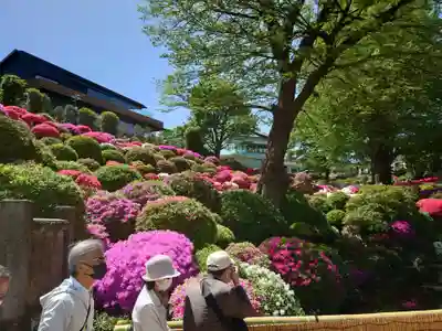 根津神社(東京都)