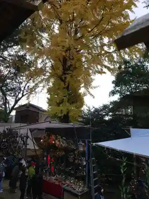 大鷲神社(東京都)