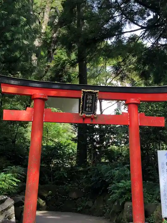 箱根神社の鳥居