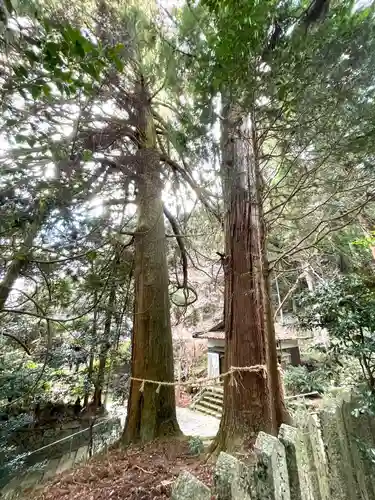 高倉神社の自然