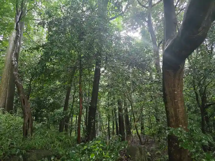 奥石神社(滋賀県)