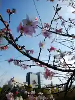 寛永寺不忍池弁天堂(東京都)