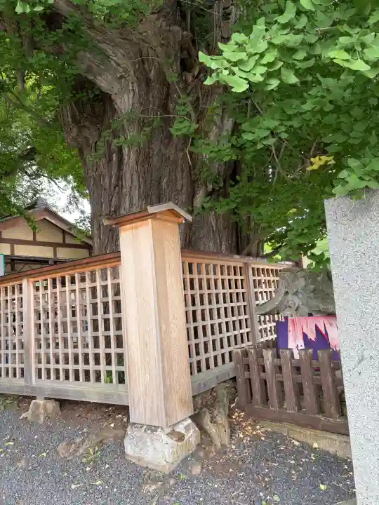 熊野大社(山形県)