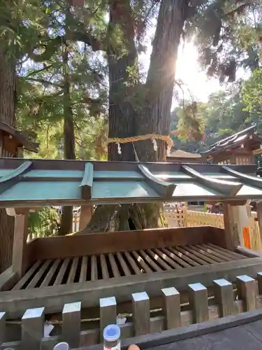 大神神社(奈良県)