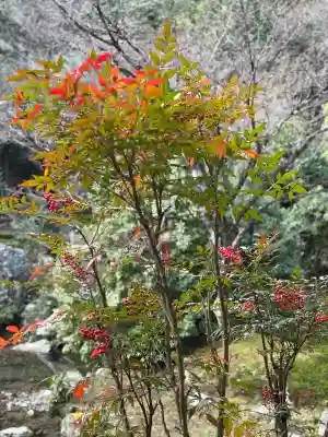 実相院門跡(京都府)