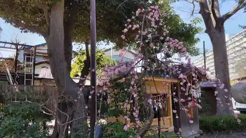 菊田神社の自然