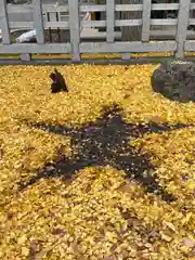 上川神社の庭園