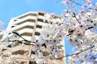 くまくま神社(導きの社 熊野町熊野神社)の自然