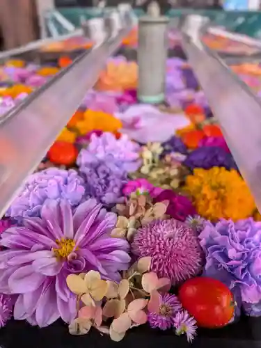 成田山深川不動堂（新勝寺東京別院）(東京都)