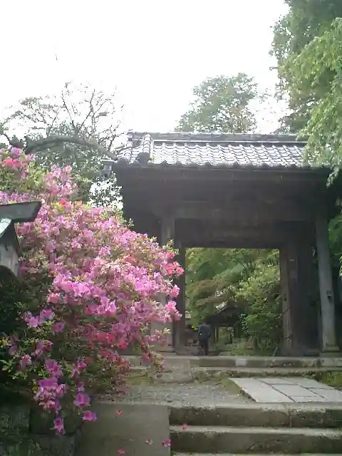 安國論寺(安国論寺)の山門・神門