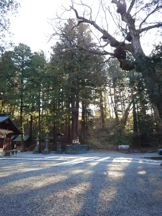 諏訪大社下社春宮(長野県)