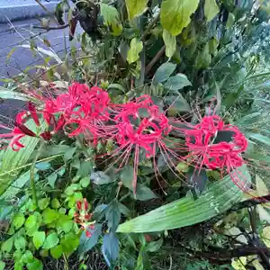 秩父札所十三番 慈眼寺(埼玉県)(2022年09月19日(月) 22時17分36秒投稿)