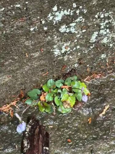 熊野神社(千葉県)