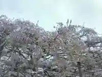 竹鼻別院(岐阜県)