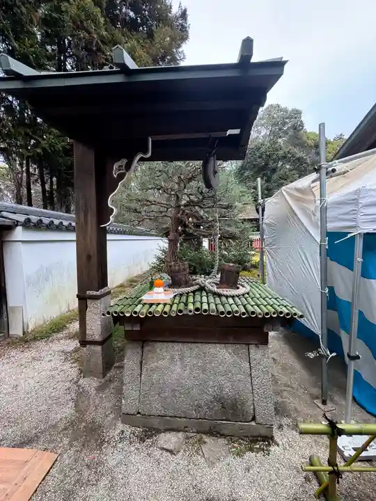 賀茂御祖神社(下鴨神社)(京都府)