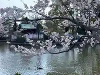 旗上弁財天社の自然