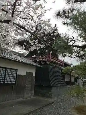龍光寺のその他建物