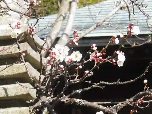 浄光明寺の自然